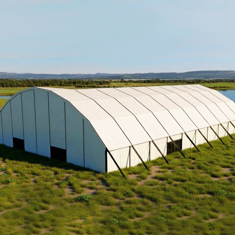 dome05