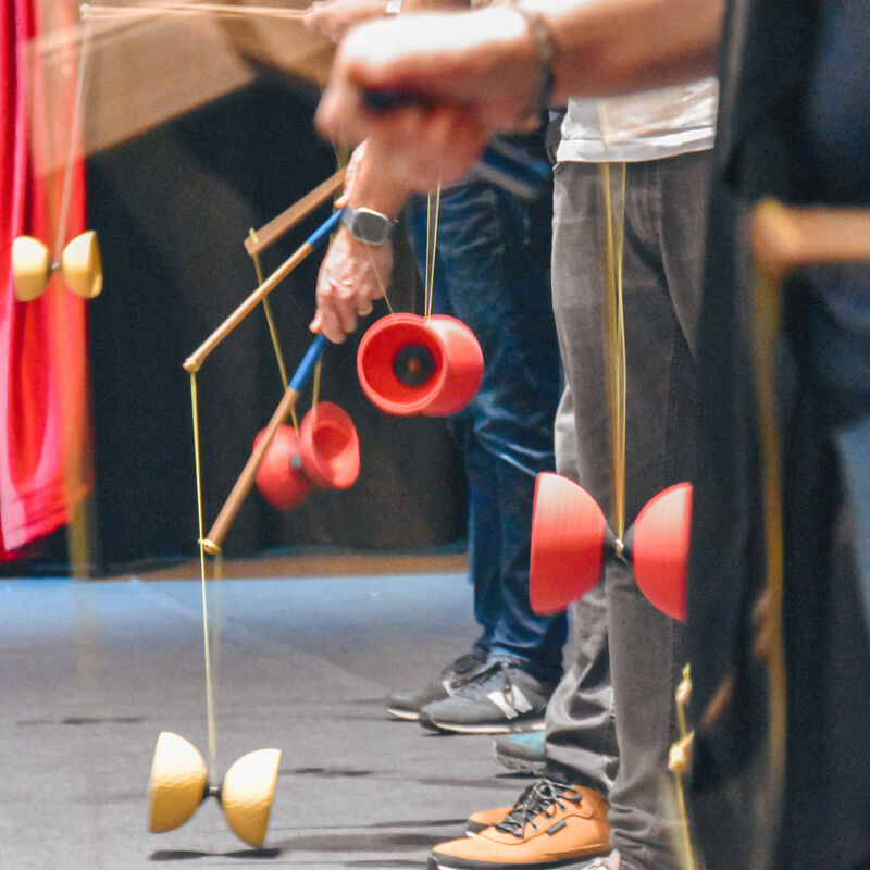 Teamentwicklung im Circus Monti